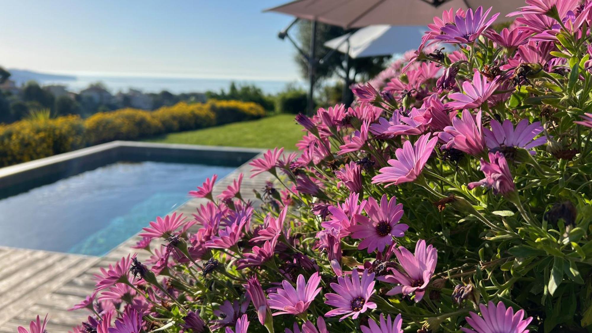 La Coulina Villa Nice Dış mekan fotoğraf
