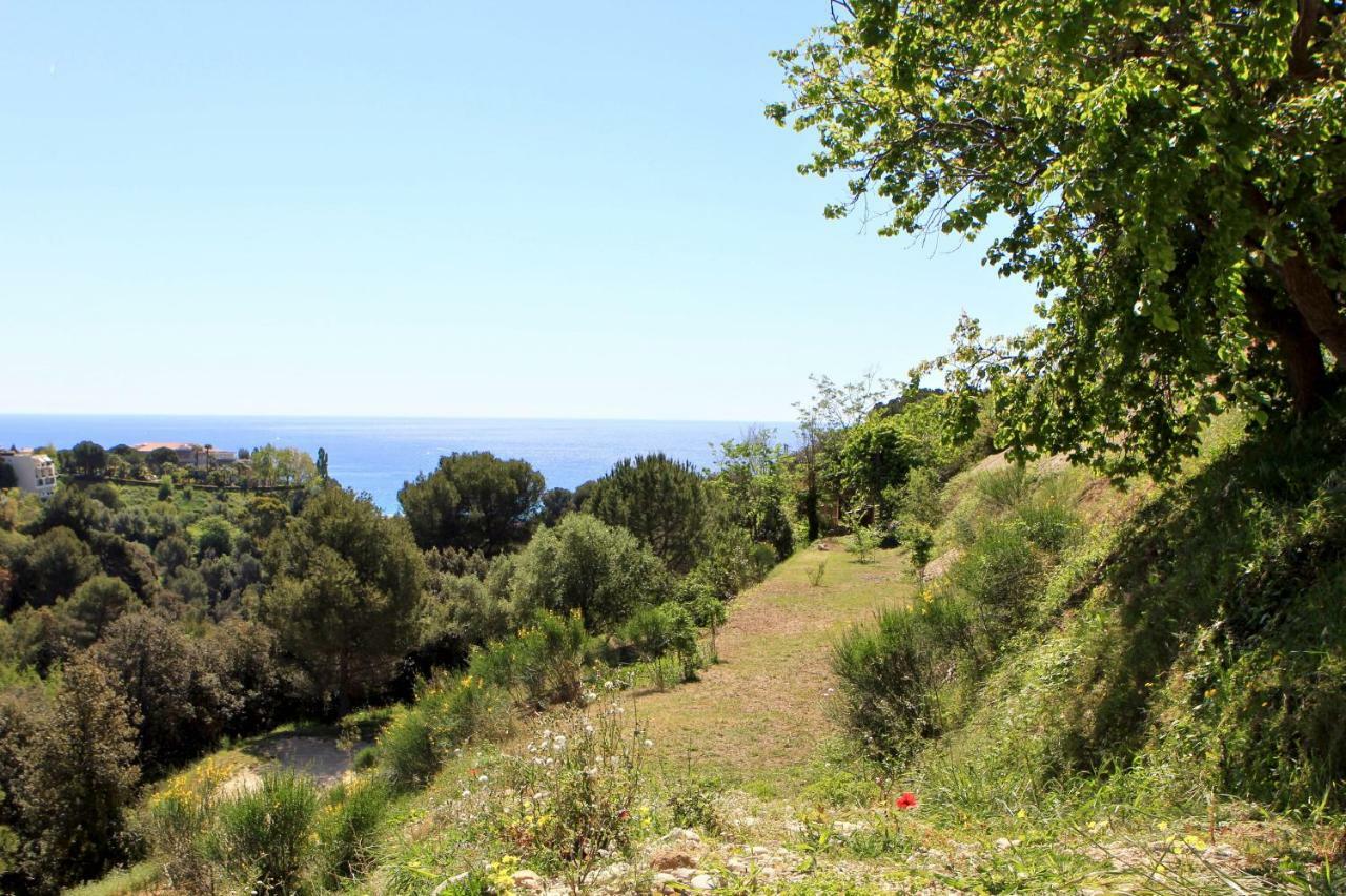 La Coulina Villa Nice Dış mekan fotoğraf